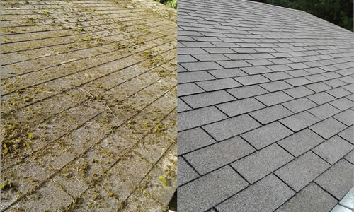 Roof Cleaning Box